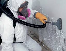 Best Post-Construction Mold Inspection  in Woodlynne, NJ